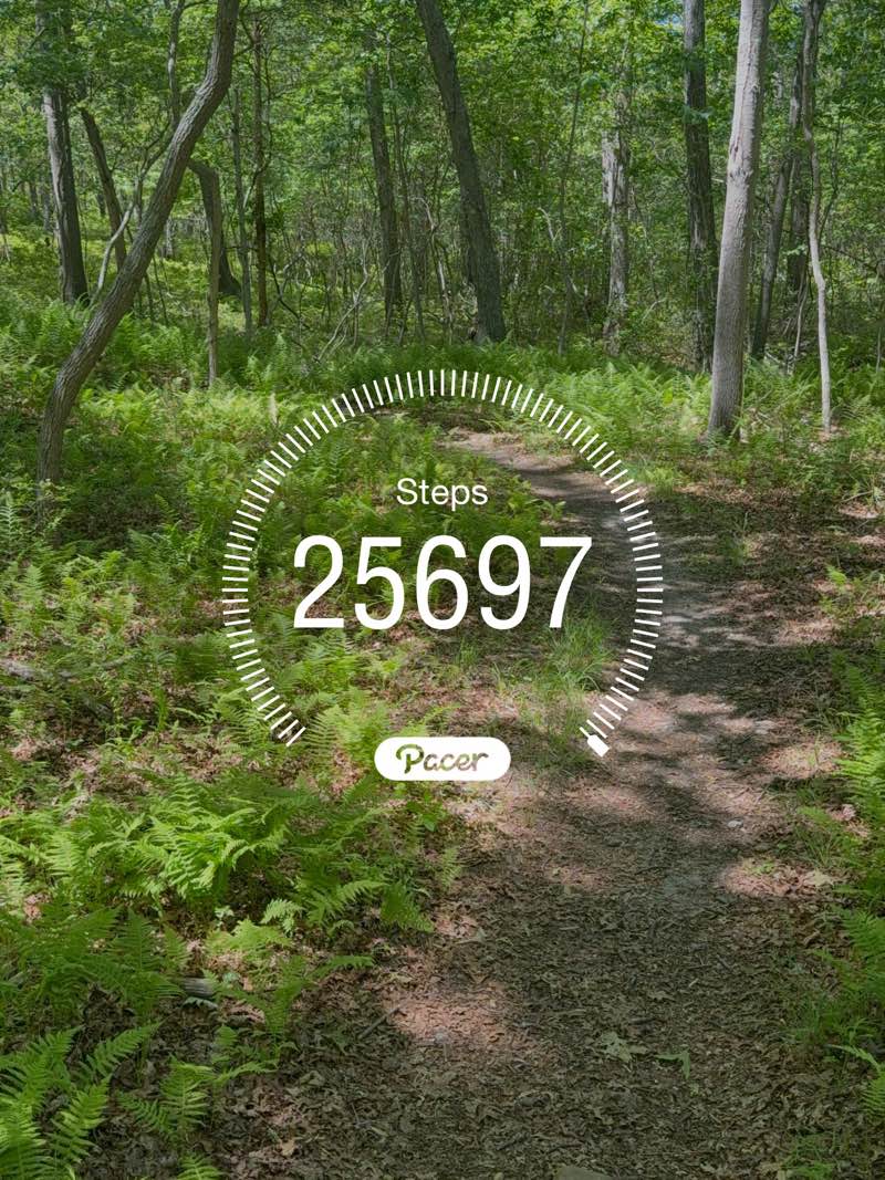 walking near me in Cedar Beach Town Park in summer