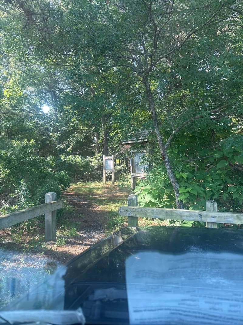 walking near me in Veterans Memorial Park in summer