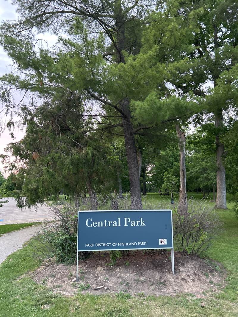 walking near me in Central Park in summer