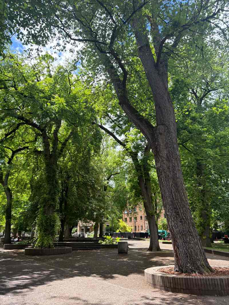 walking near me in South Park Blocks in summer