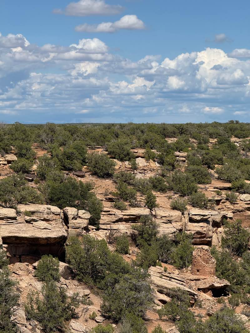 walking near me in Canyons of the Ancients National Monument in summer