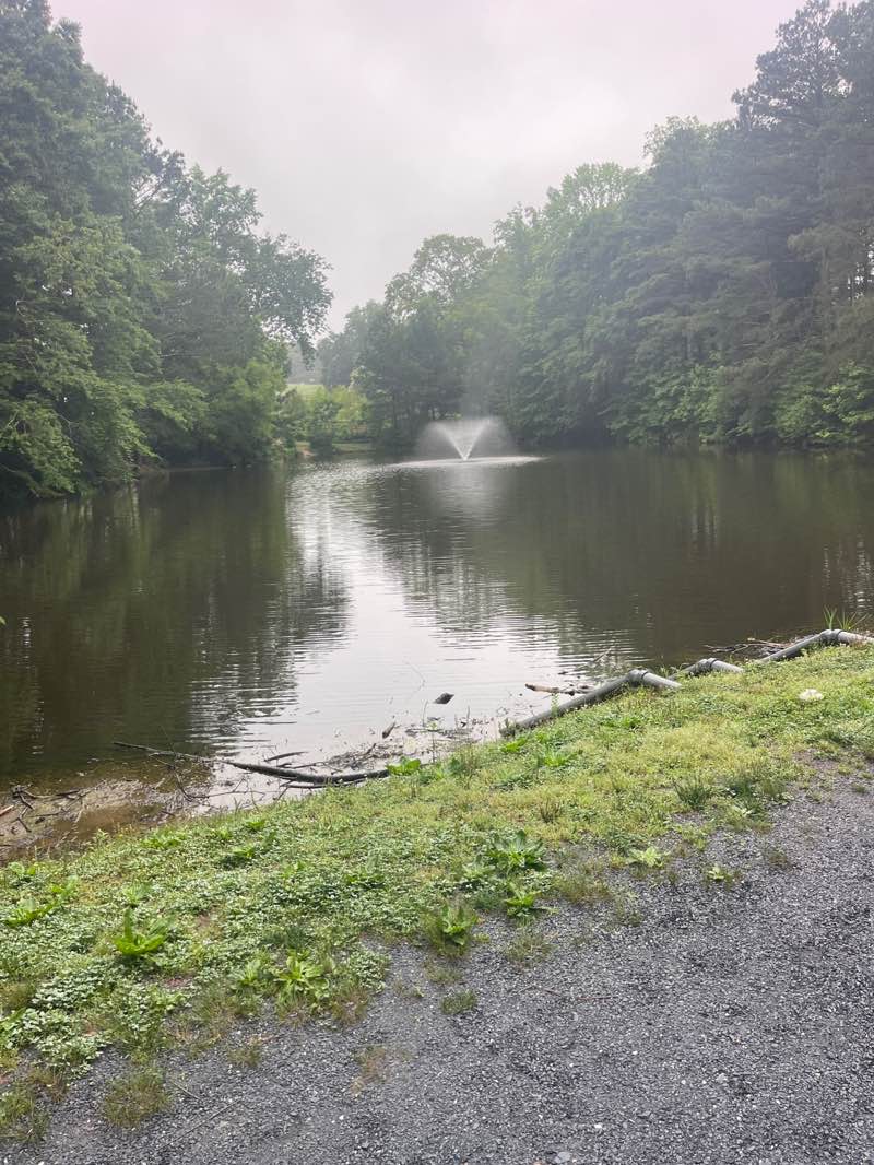 walking near me in Mabry Park in summer