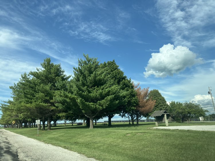 walking near me in KTB Park in summer