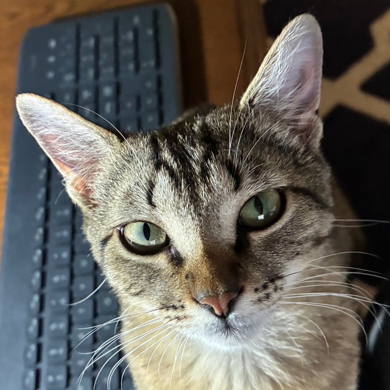 bruce.dorris profile