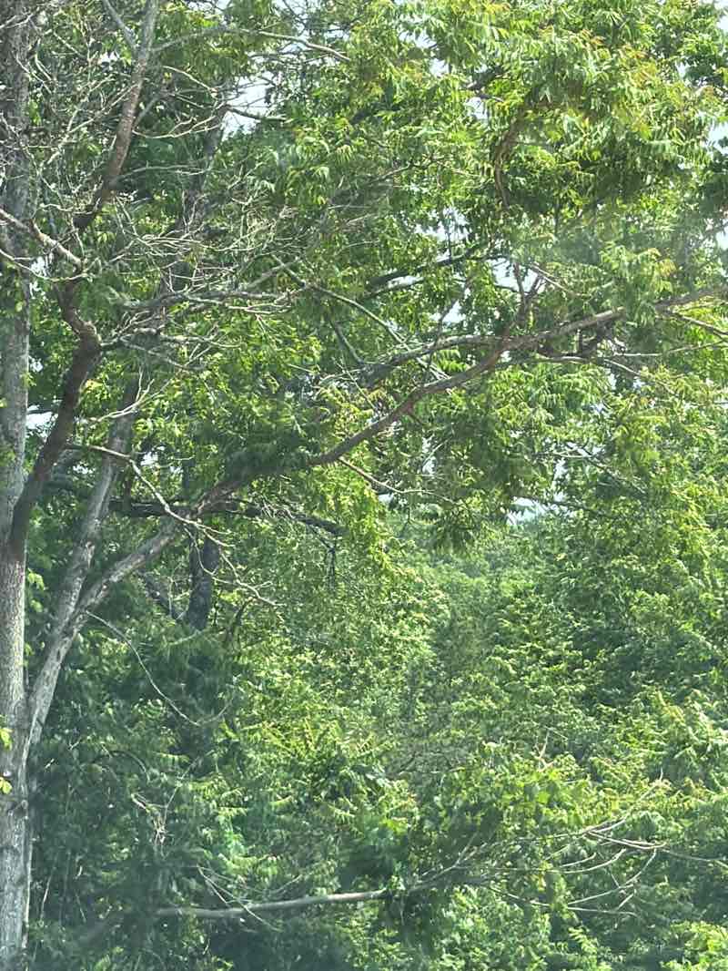 walking near me in Indian Point Family Fun Park in summer