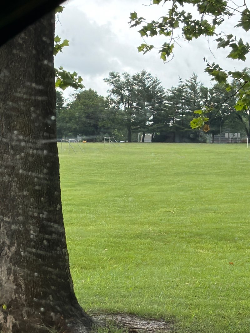 walking near me in Rotary Park in summer