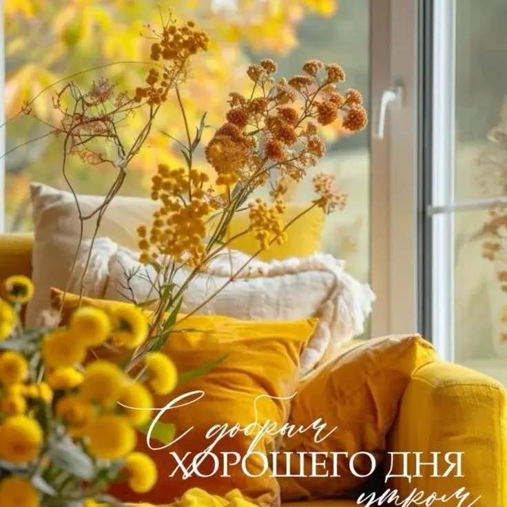 Всегда можно Находить решение Евгений post image