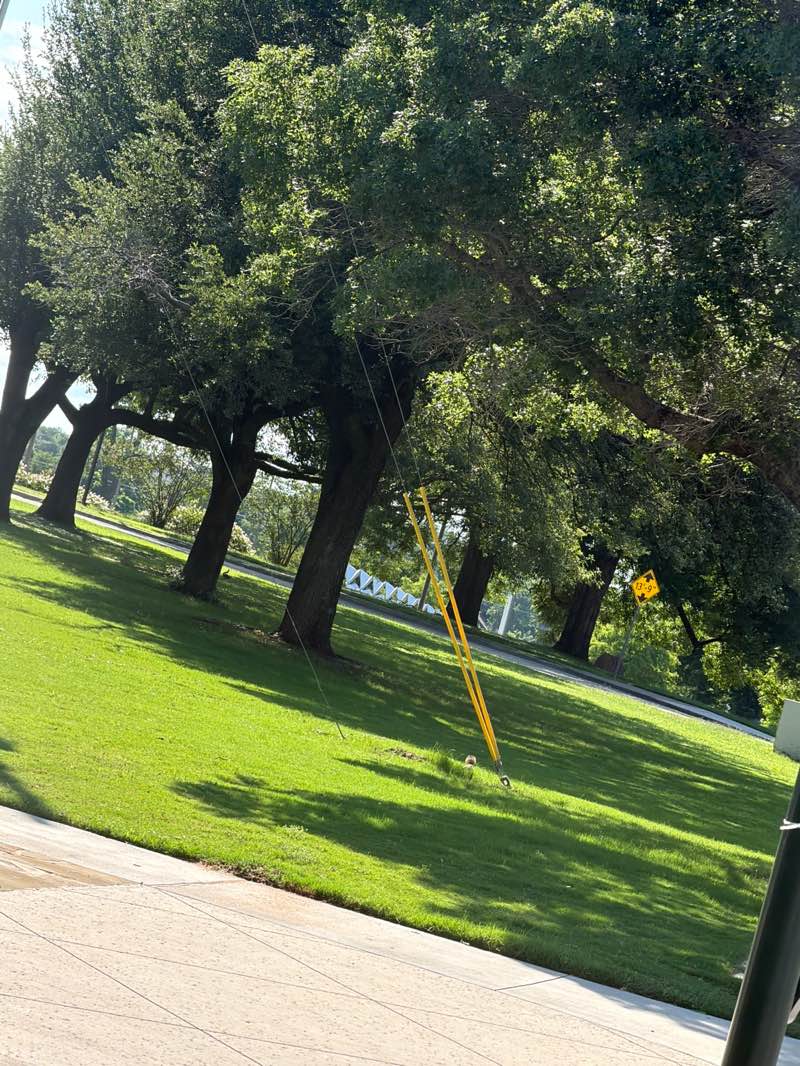 walking near me in Doris D Miller Park in summer