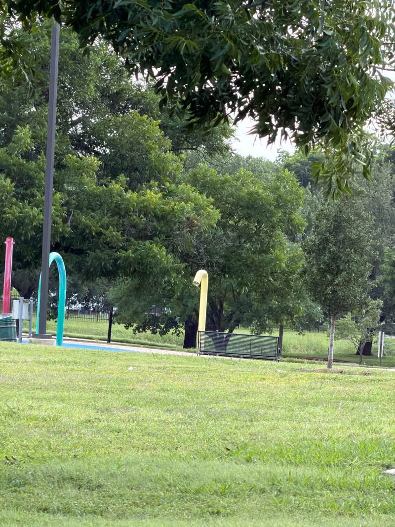 walking near me in Dewey Park in summer