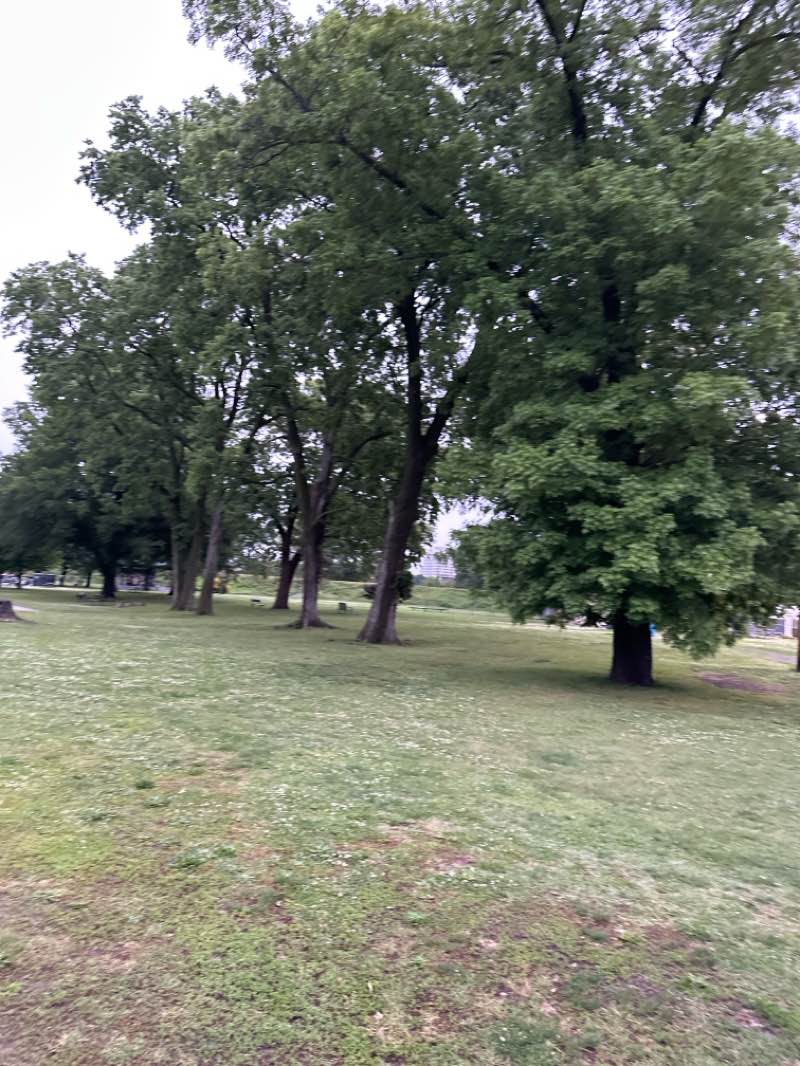 walking near me in Patriots Park in summer