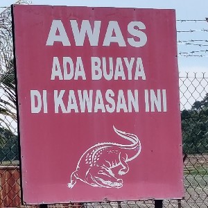 Akmal rahman icon