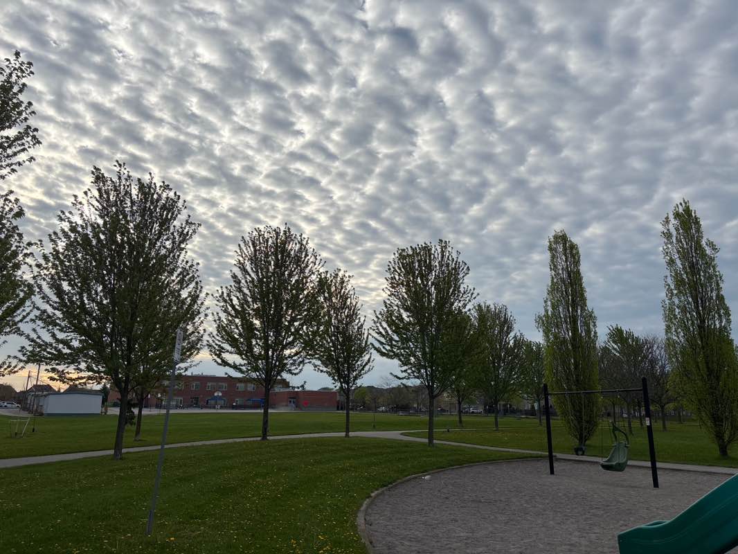 walking near me in Frederick Bagg Park in summer