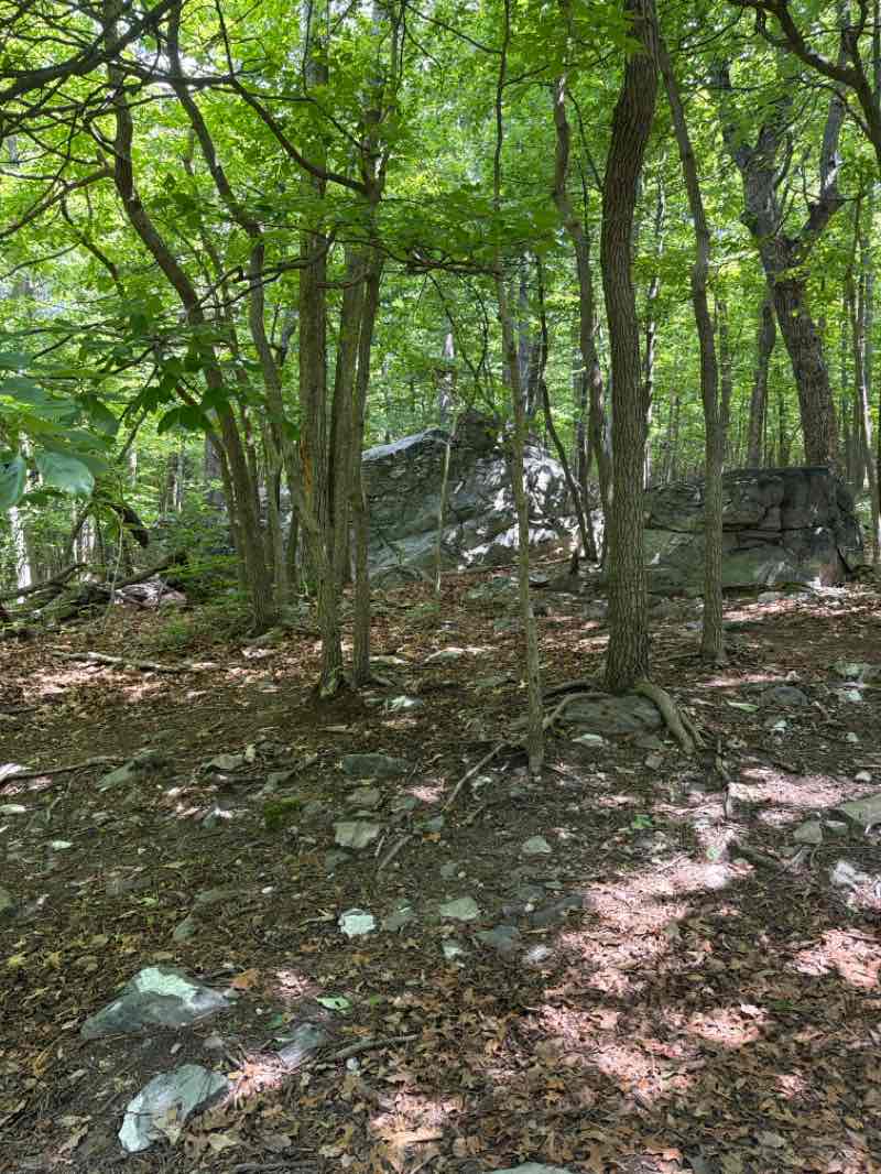 walking near me in Bears Den Park in summer