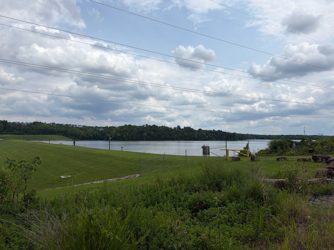 walking near me in Edgar Tillett Memorial Park in summer