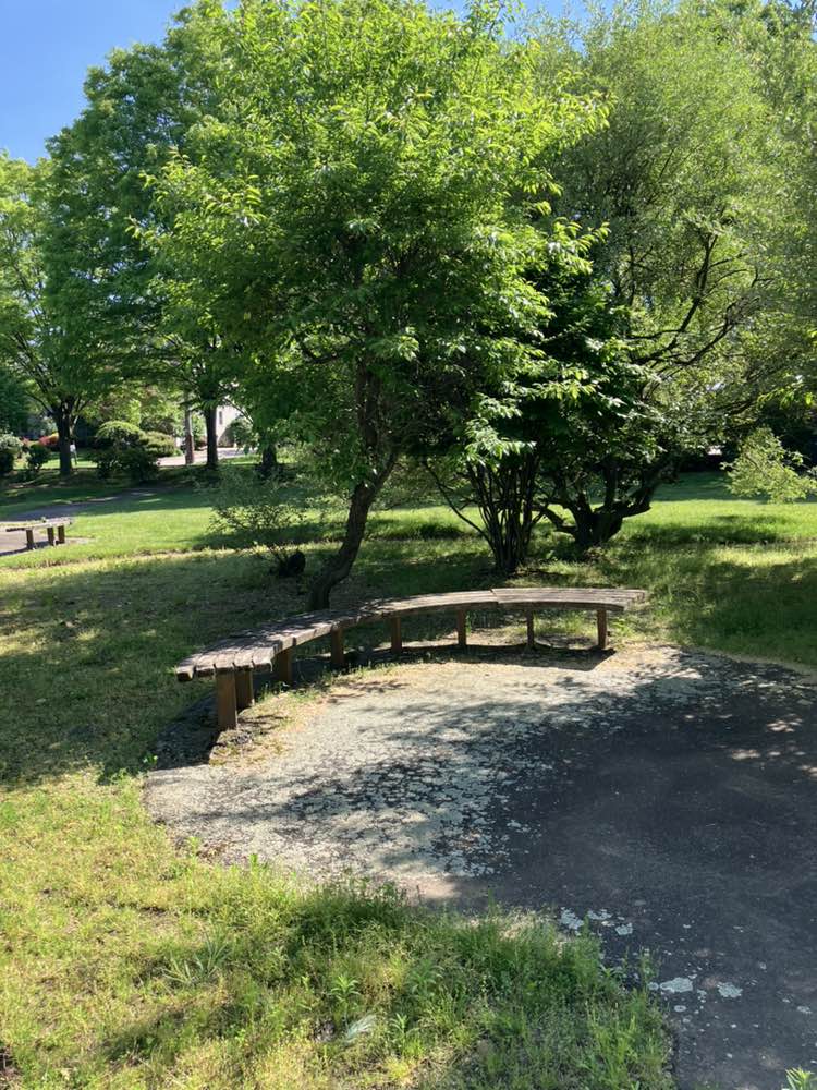 walking near me in Mita Park in summer