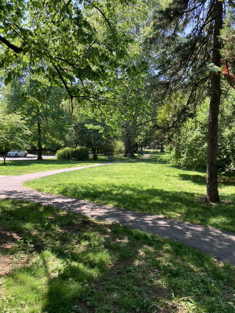 walking near me in Porter Park in summer