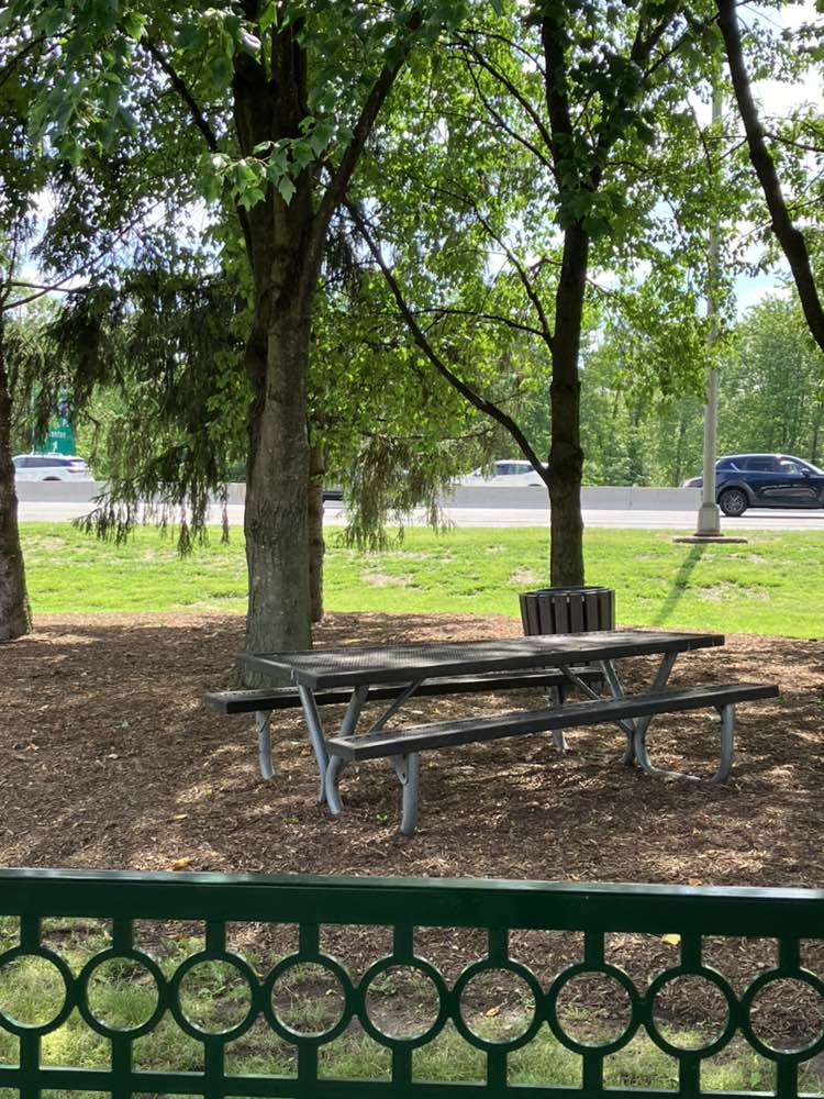walking near me in Veterans Alliance Park in summer