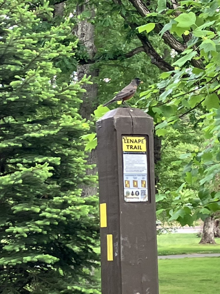 walking near me in Cedar Grove Park in summer