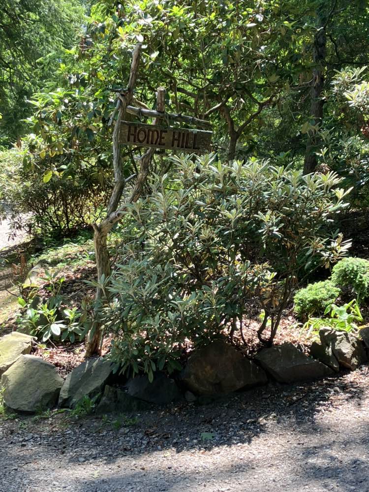 walking near me in Laurelwood Arboretum in summer