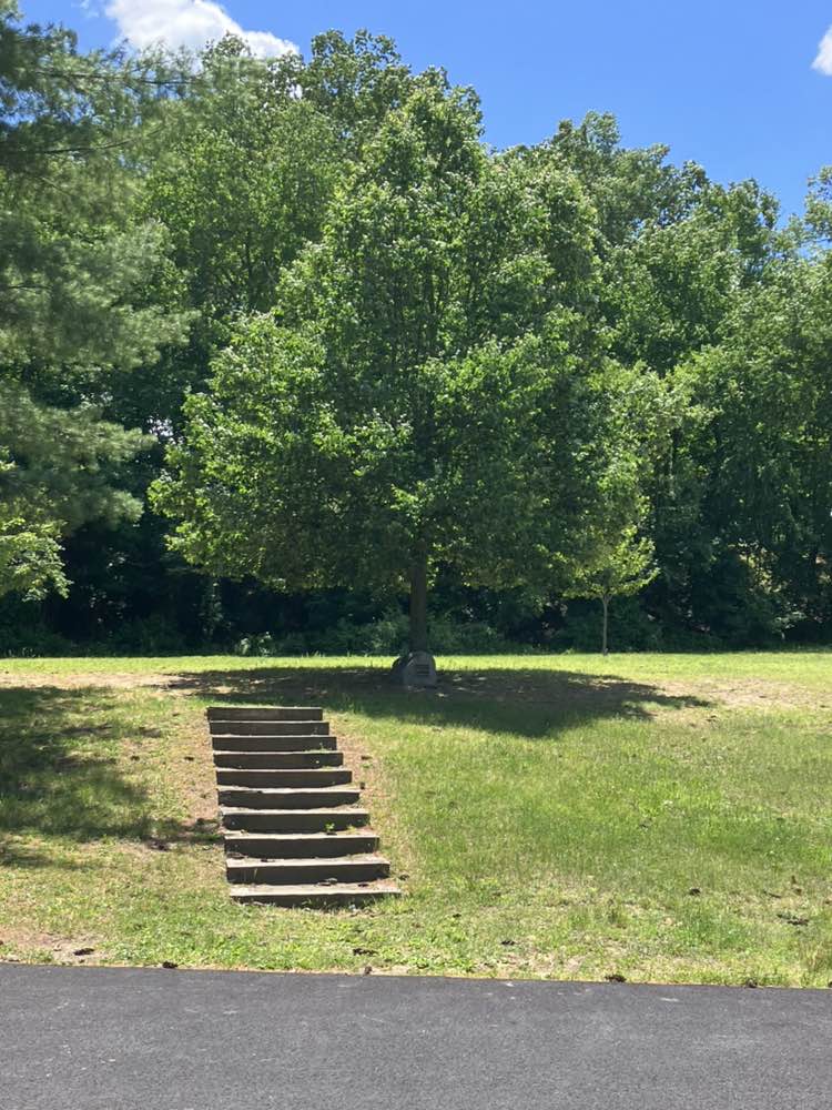 walking near me in Foothills Park in summer