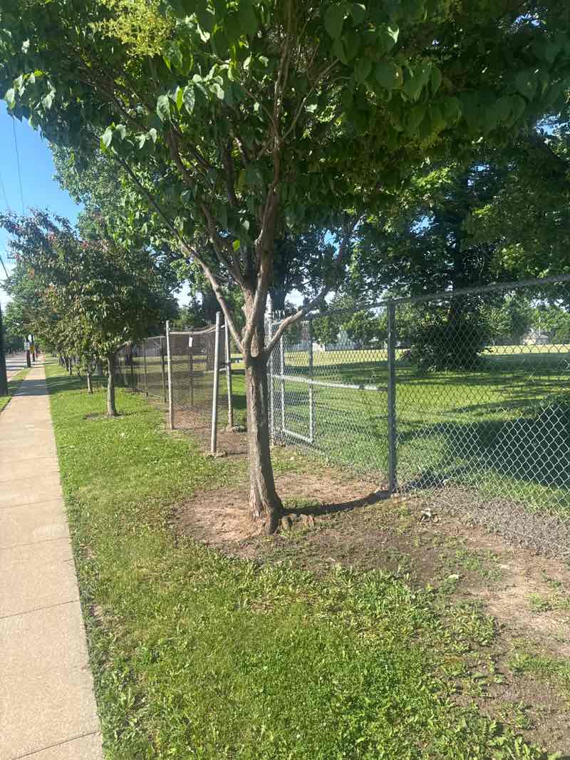 walking near me in East Hall Park in summer