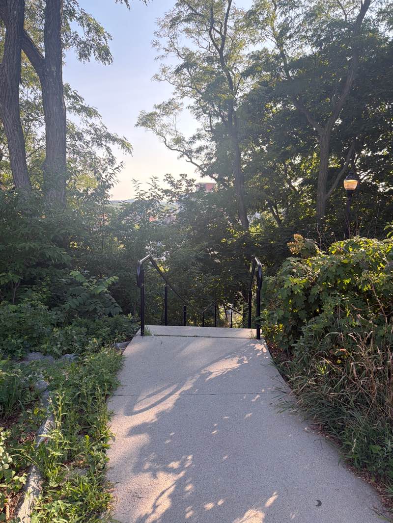 walking near me in Prospect Hill Park in summer