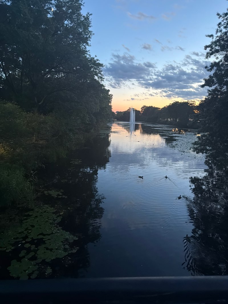 walking near me in Charles River Esplanade in summer