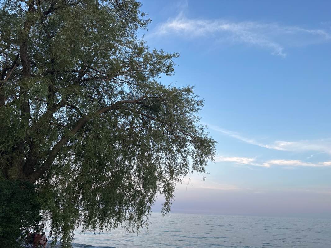 walking near me in Beachfront Park in summer