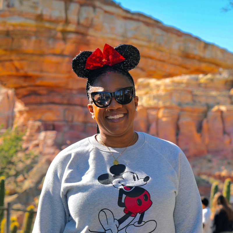 Porsha icon