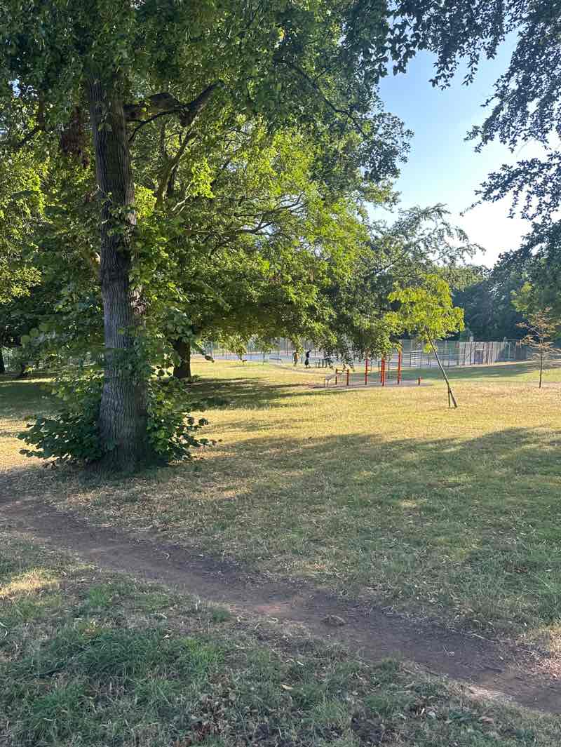 walking near me in Strelley Recreation Ground in summer