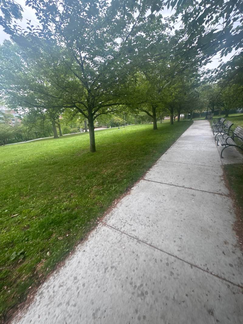 walking near me in Turnure Park in spring