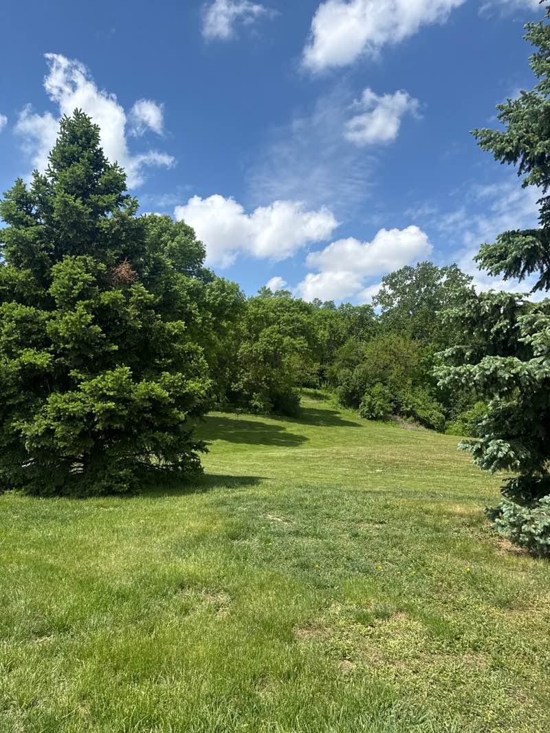 walking near me in Sertoma Park in summer