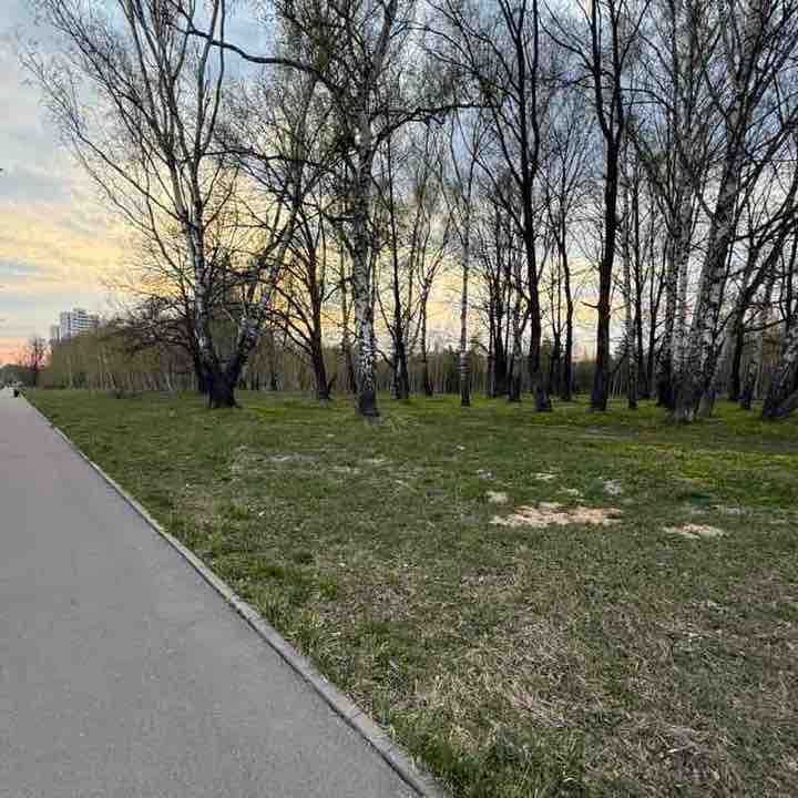 Степа на заказ Дашка post image