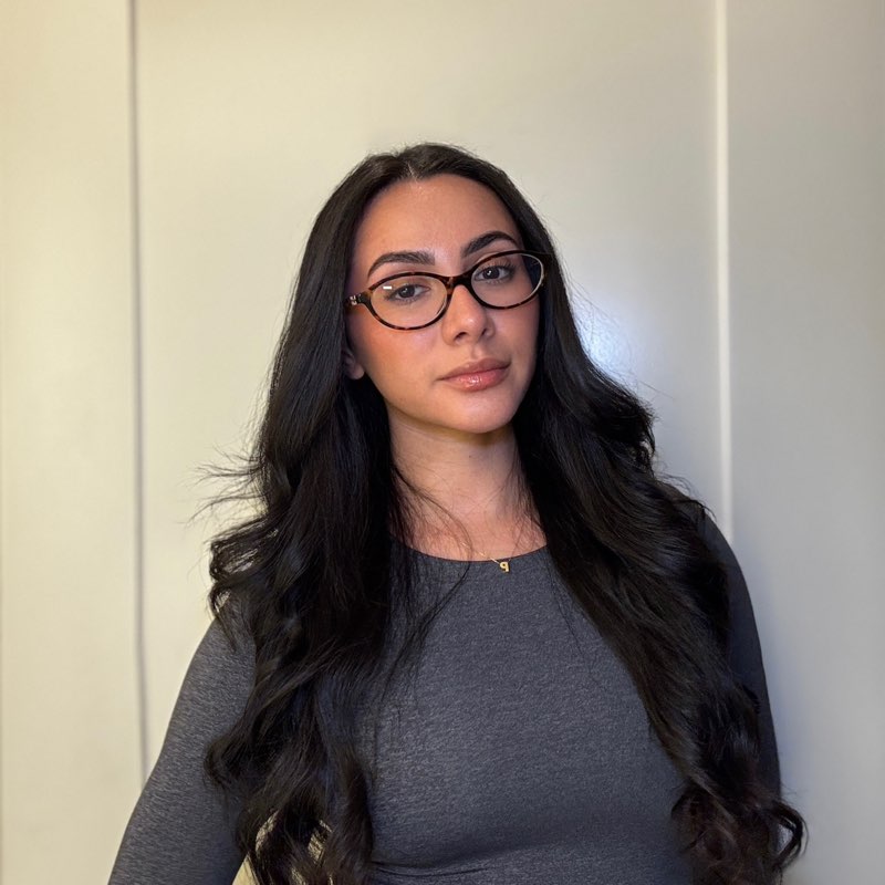 Paula icon