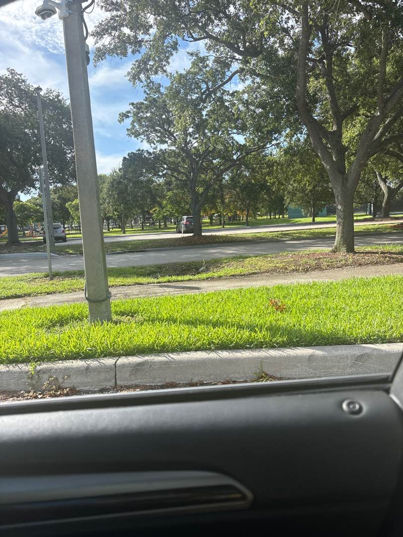 walking near me in Pompano Community Park in summer