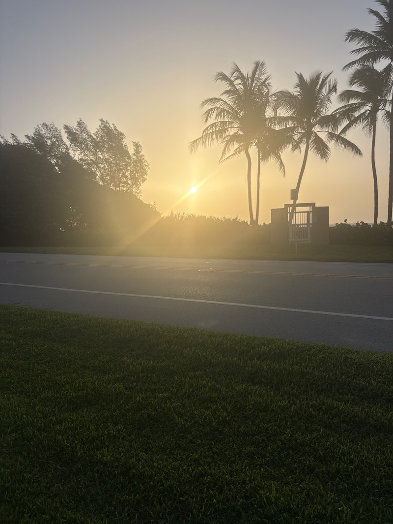 walking near me in South Beach Park in summer