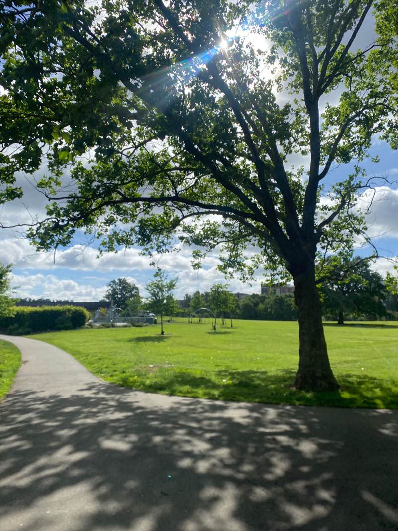 walking near me in Montrose Playing Fields in summer
