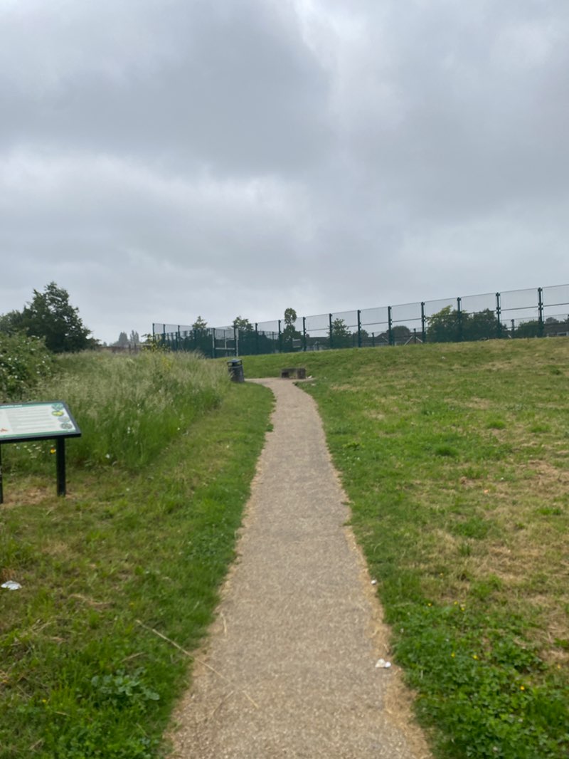 walking near me in Grove Park in summer