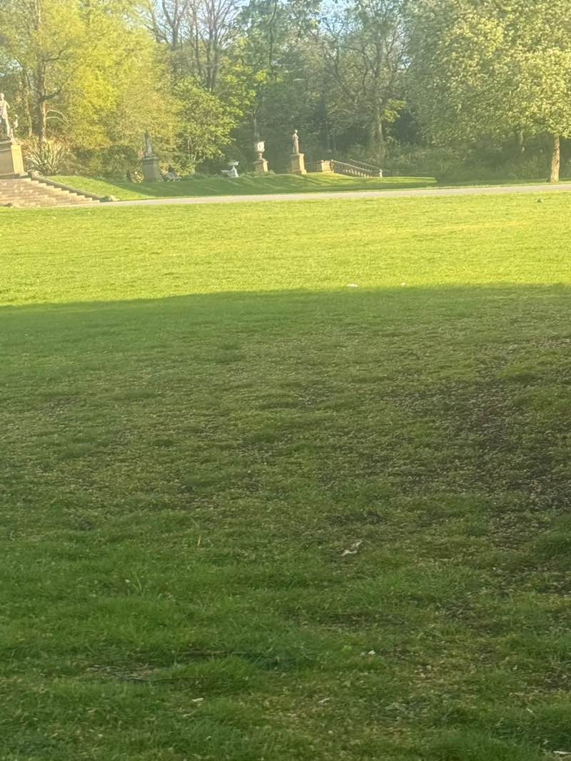 walking near me in People's Park in summer