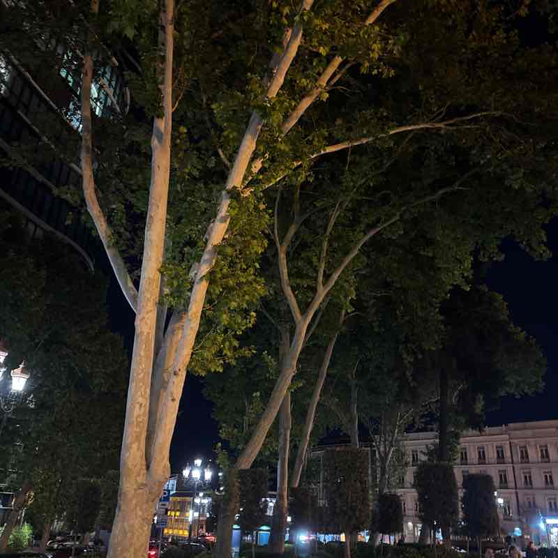 Sergei Meneiliuk post 1