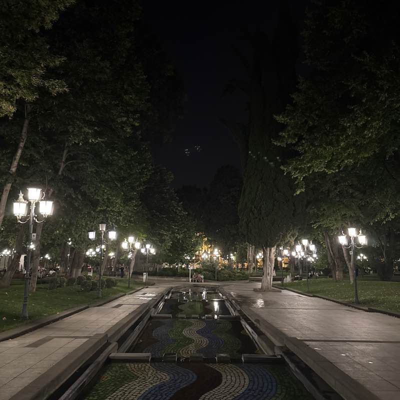 Sergei Meneiliuk post 1