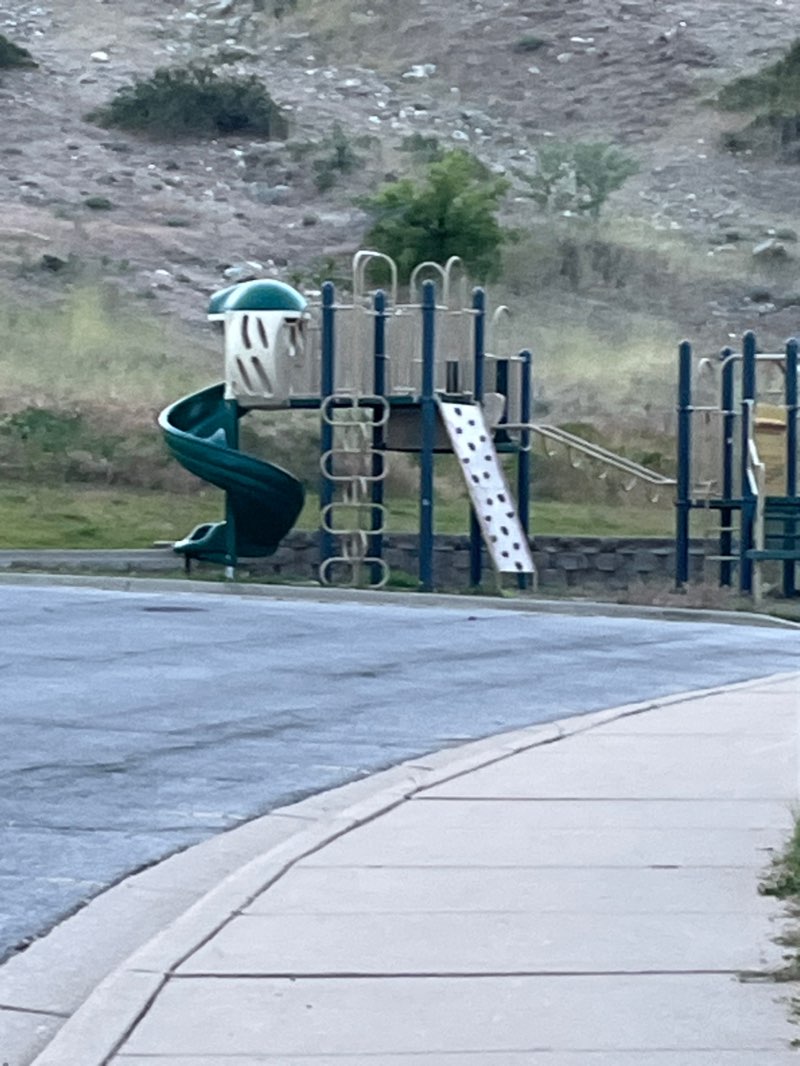 walking near me in Twin Hollow Park in summer