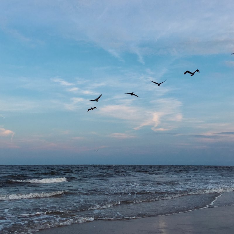abbey 🌊