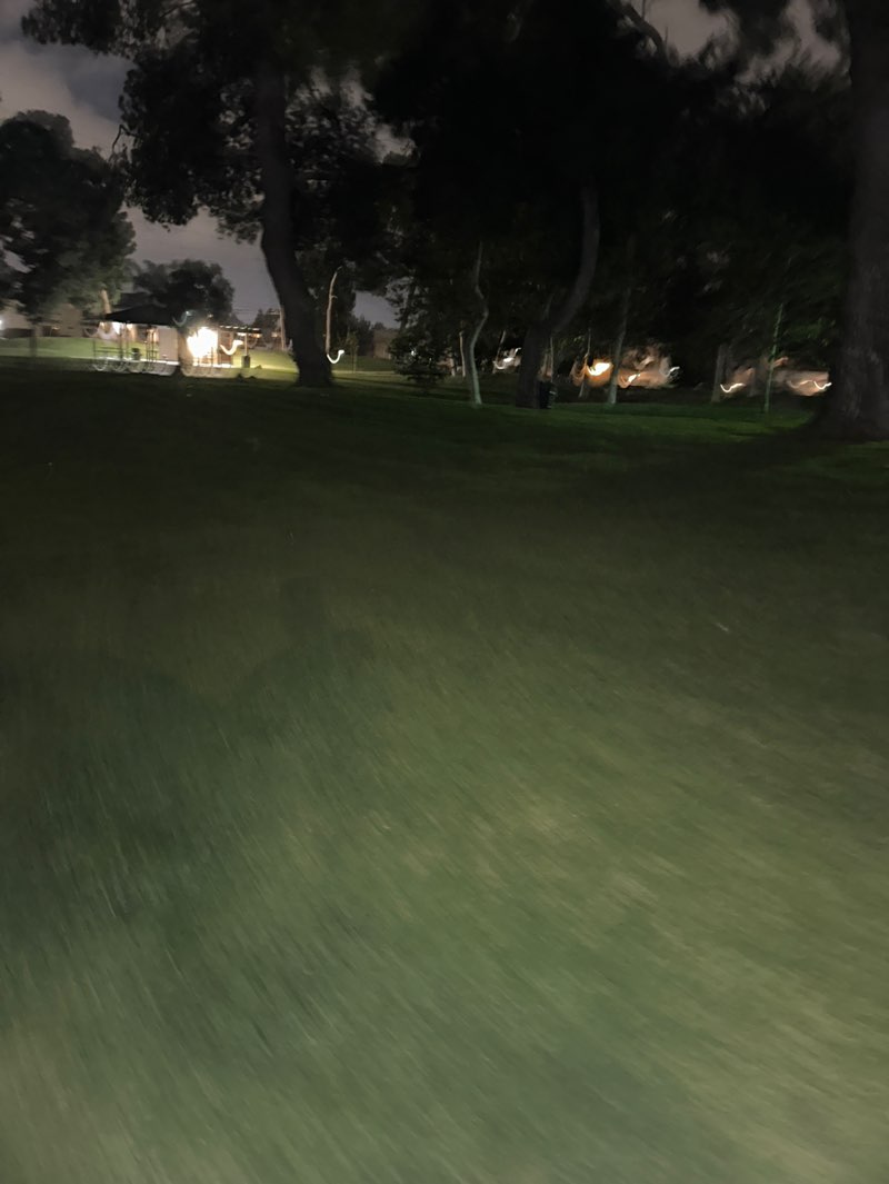 walking near me in Wilson Street Park in summer