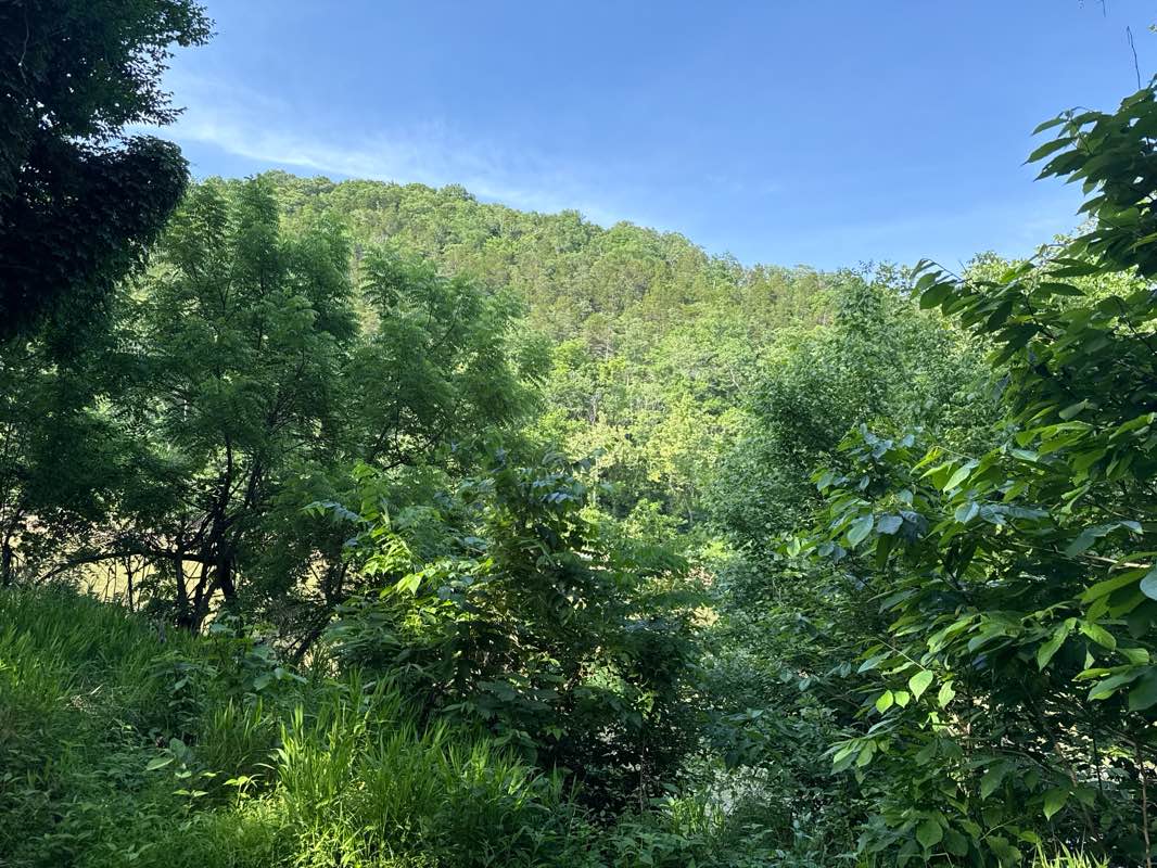walking near me in Route 66 State Park in summer