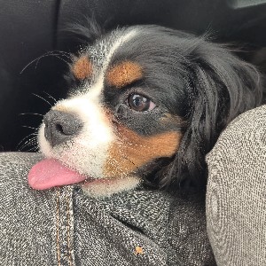 Юлия Сундарева profile