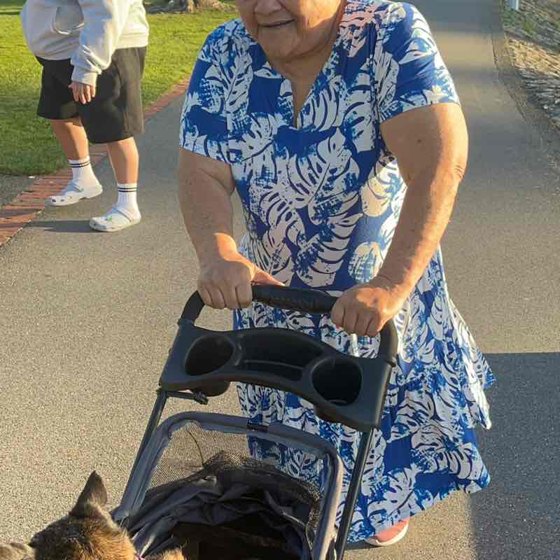 shirley post 3