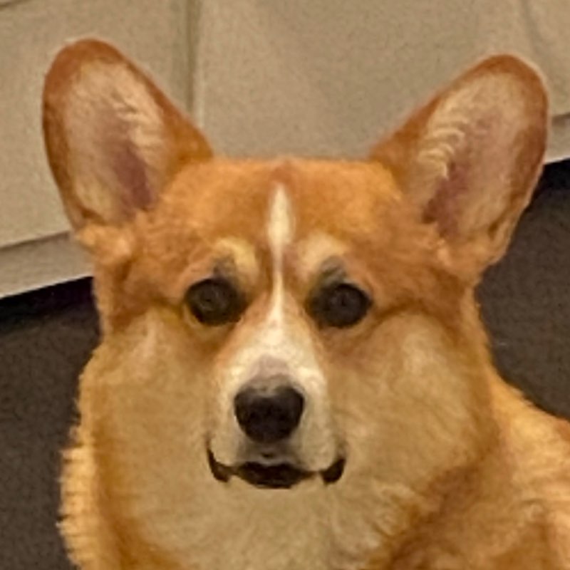 Dude profile