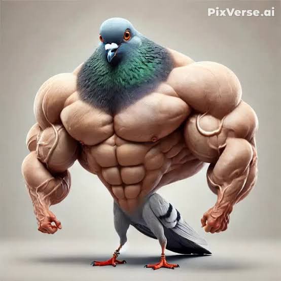 Android season DiOnel Brando post image