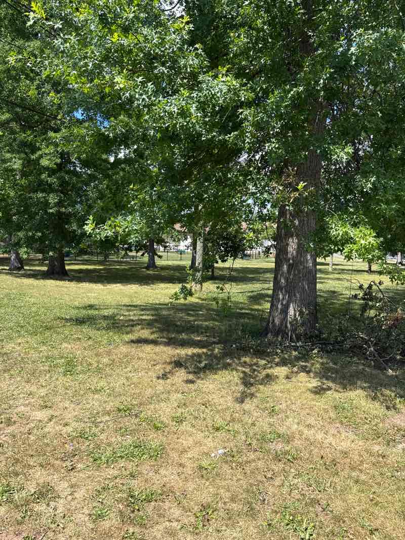 walking near me in Warinanco Park in summer